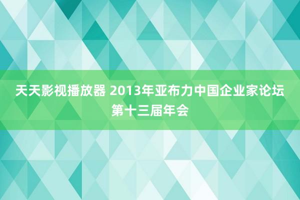 天天影视播放器 2013年亚布力中国企业家论坛第十三届年会